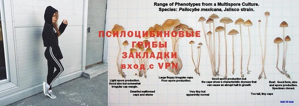 скорость mdpv Михайлов