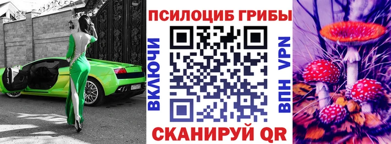 Галлюциногенные грибы GOLDEN TEACHER  Мытищи 