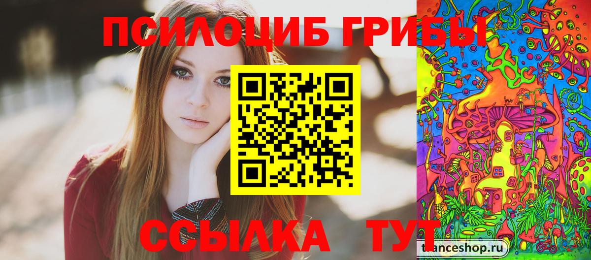 Галлюциногенные грибы Magic Shrooms  Вход с VPN  Мытищи  Галлюциногенные грибы прущие грибы 